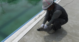 いつもより丁寧にサンダーがけ