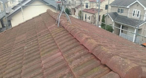 苔が生えた洋瓦。この状態が進むと、雑草が生え、土がたまります。