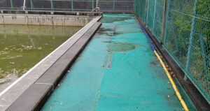 傷んだ部分は他の場所よりも凹んでいるので水が溜まります