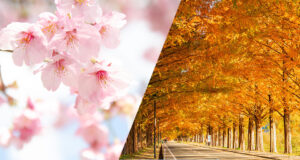 外壁塗装でリスクになるのは、「雨季」と「寒さが厳しい季節」