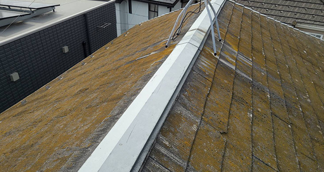 高圧洗浄前の屋根：コケがびっしりの状態