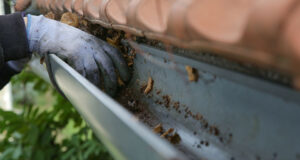 雨樋の清掃