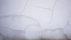 外壁のクラックにカビが生えている